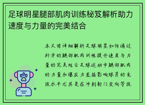 足球明星腿部肌肉训练秘笈解析助力速度与力量的完美结合